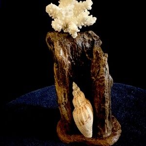 9" driftwood desk sculpture